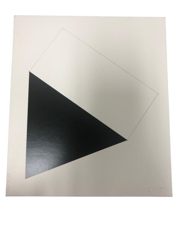 ELLSWORTH KELLY - BRAUNWALD 1978 COLOR PRINT 8" (1 of 2)