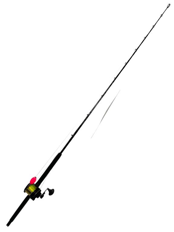 7 FOOT FISHING ROD & SHIMANO TLD 2 SPEED REEL: -7 FOOT FISHING ROD & SHIMANO TLD 2 SPEED REEL -2 Speed Offshore Lever Drag Fishing Reel -light and durableJR 01/26