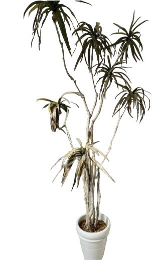 LARGE FAUX TREE IN CERAMIC PLANTER 11 FT (1 of 5)