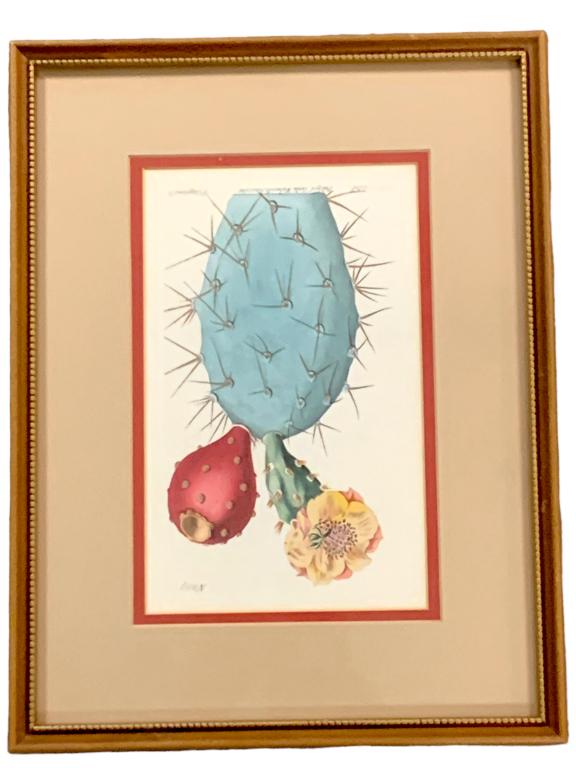 VTG FRAMED BOTANICAL PRINT 10.5 (1 of 1)