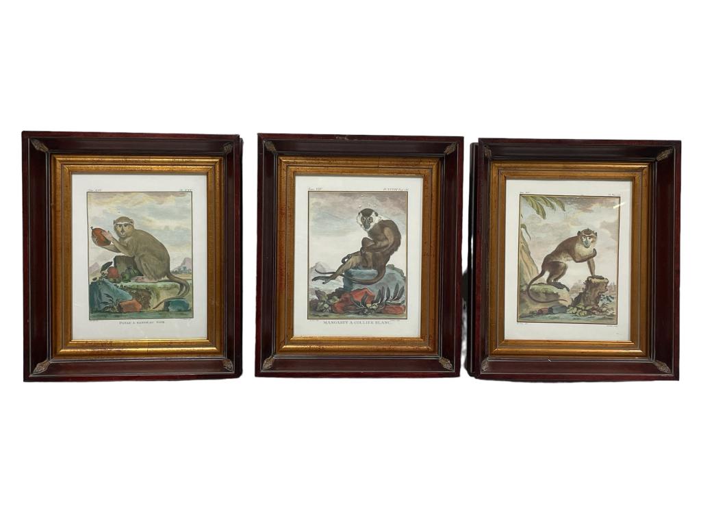 SET OF 3 BOMBAY CO. MONKEY PRINTS 13.6 (1 of 4)