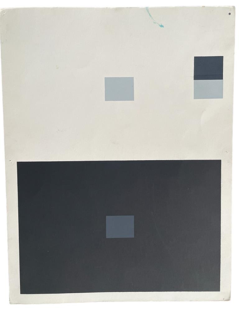 JOSEF ALBERS INTERACTION W COLOR SILKSCREEN PRINT (1 of 5)