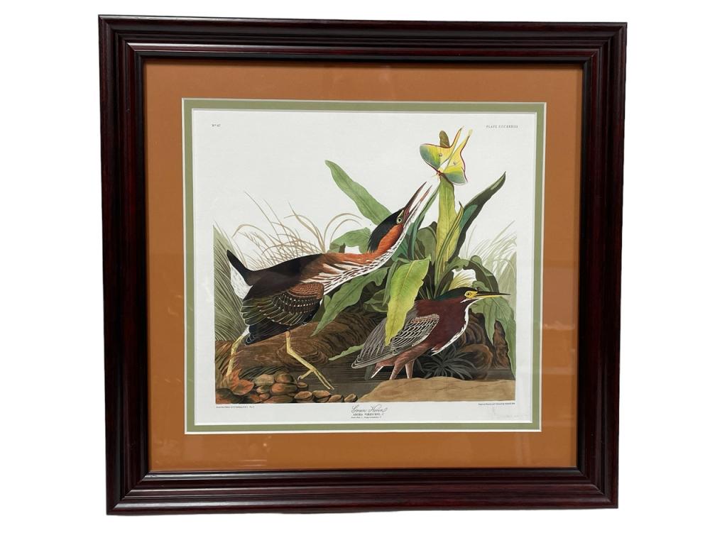 J.J. AUDUBON GREEN HERON DRAWING FROM NATURE PRINT (1 of 2)