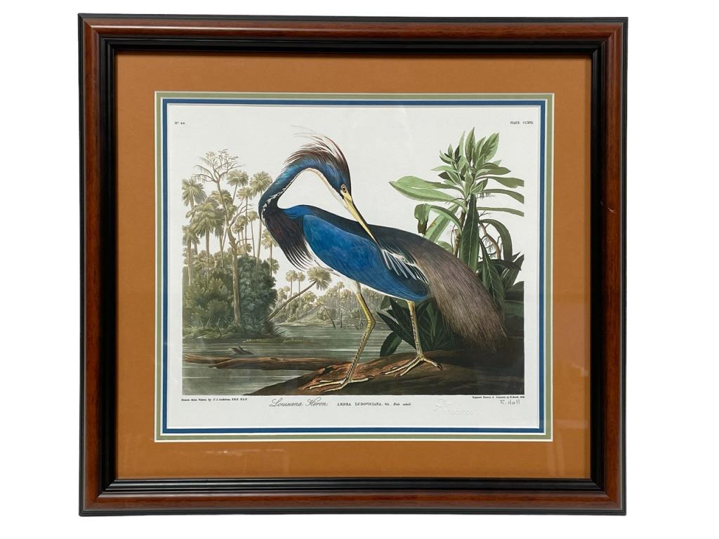 J.J. AUDOBON LOUISIANA HERON LITHOGRAPH PRINT (1 of 2)