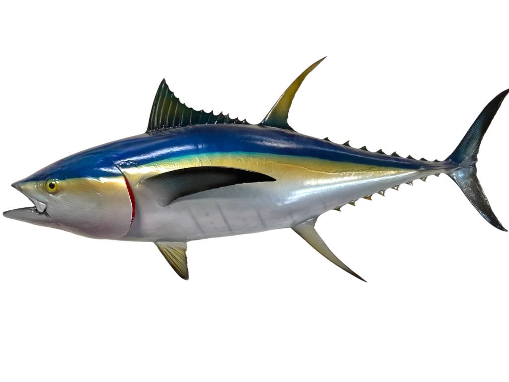 LARGE  LIFELIKE YELLOWFIN TUNA FISH WALL MOUNT 46" (1 of 7)