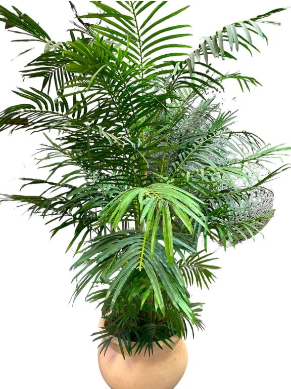 LARGE FAUX FERN TROPICAL POTTED PLANT 71" (1 of 5)