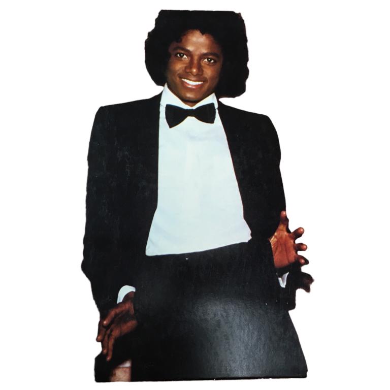 VINTAGE RECORD ALBUM, MICHAEL JACKSON "THRILLER" (1 of 1)