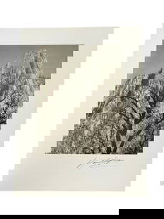 SIGNED ANSEL ADAMS GELATIN PHOTO PRINT 14.5": SIGNED ANSEL ADAMS GELATIN PHOTO PRINT 14.5"-14.5" X 10.5" APPROX-GOOD PRE OWNED CONDITION, MATTED TO THIN BOARD-DP31623 Please be advised that by placing a bid, you are entering into a legally bindin