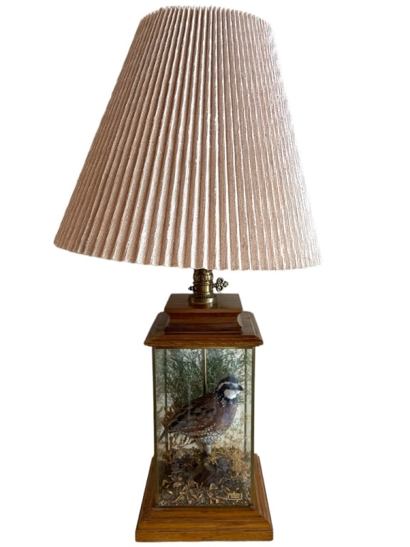 VTG JOE HIBLER QUAIL TAXIDERMY LAMP 34" (1 of 6)