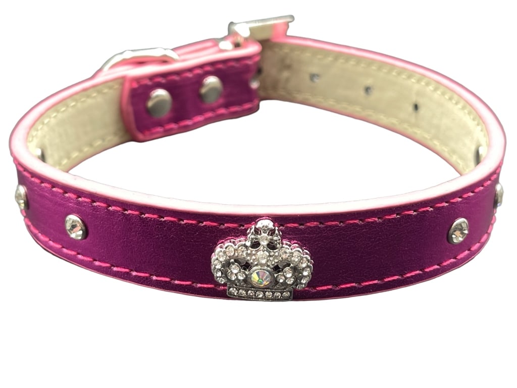 FASHIONABLE COLLAR TO MAKE YOU GIRL FEEL LIKE A P!: FASHIONABLE COLLAR TO MAKE YOU GIRL FEEL LIKE A PRINCESS!NEW IN PACKAGE-SIZE LARGE Bidders may pick up their items from the auction-house or have their items shipped.Appointments are required for loca