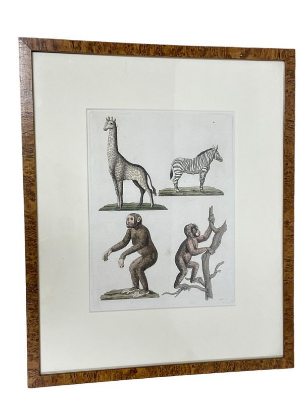 VINTAGE AFRICAN ANIMALS PRINT ANTONIO SASSO 18" (1 of 3)