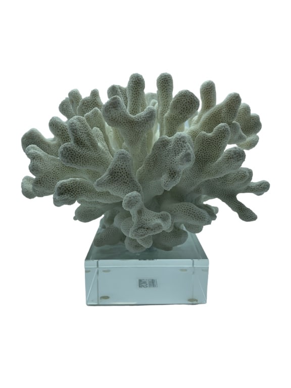 WHITE CORAL RESIN STATUE 7": -WHITE CORAL RESIN STATUE 7" -GOOD PREOWNED CONDITION-SIZE: 7" X 9" APPROX -ST TT 2/14/24