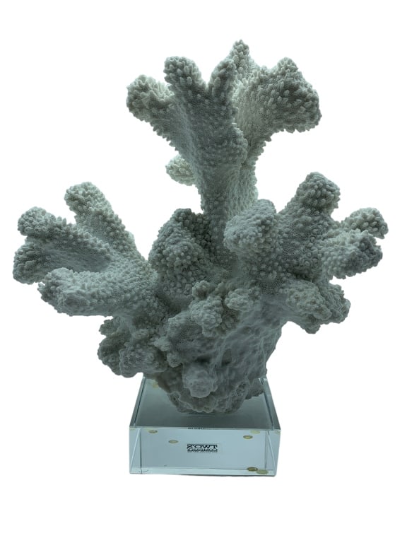 WHITE CORAL RESIN STATUE 12": -WHITE CORAL RESIN STATUE 12" -GOOD PREOWNED CONDITION-SIZE: 12" X 10" APPROX -ST TT 2/14/24