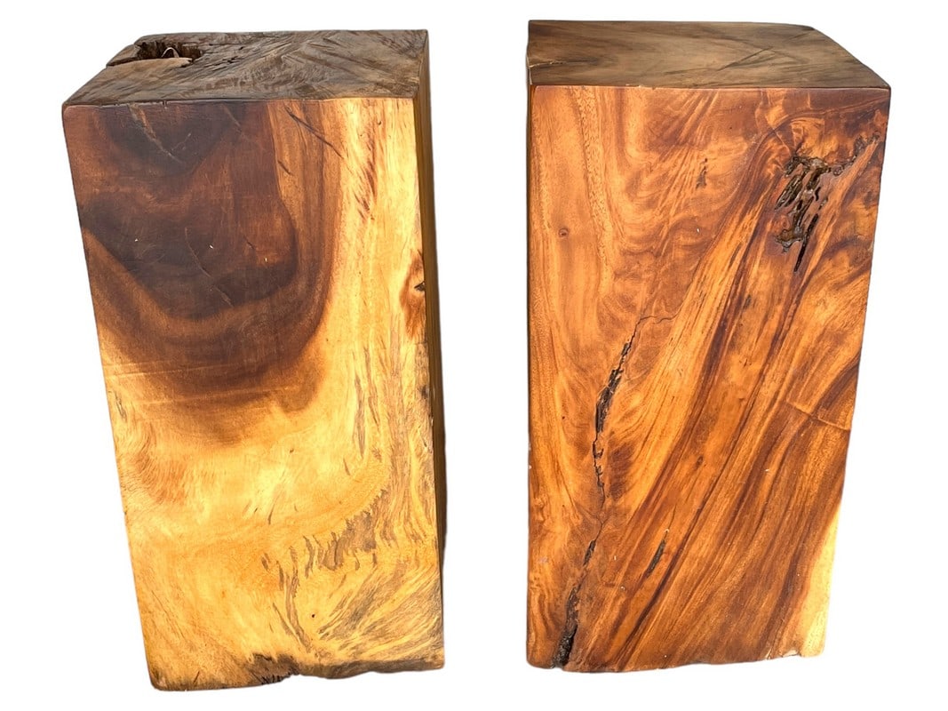 MODERN LIVE EDGE TEAK PEDESTAL ROOT STOOLS (1 of 7)