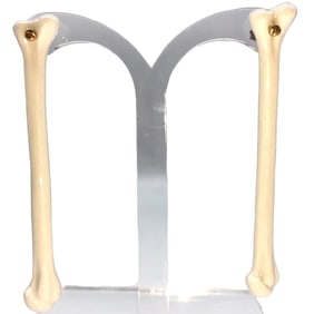 NEW! ANDRESGALLARDO PAIR OF BONE EARRINGS