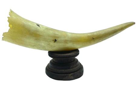 VINTAGE POWDER HORN 8"