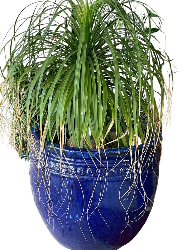 LARGE RIVIERA BLUE GLAZE OUTDOOR PLANTER 29" (1 of 4)