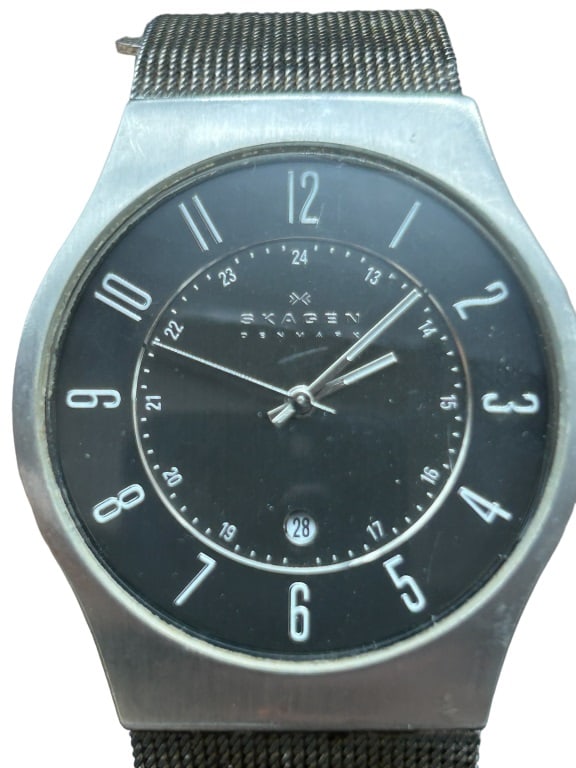 SKAGEN MEN'S STAINLESS STEEL QUARTZ WATCH (1 of 4)