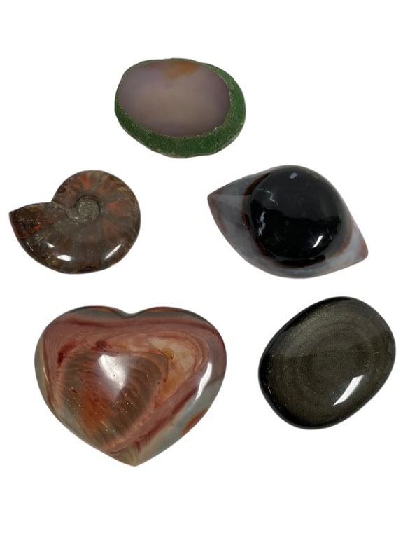 LOT OF 5 NATURAL AGATE JASPER STONES AND FOSSIL (1 of 10)