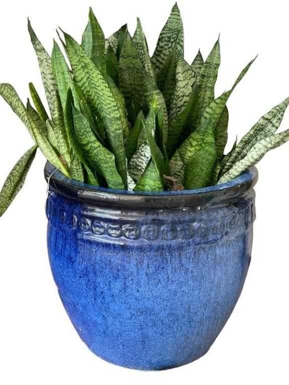 LARGE RIVIERA BLUE GLAZE OUTDOOR PLANTER 17" (1 of 4)