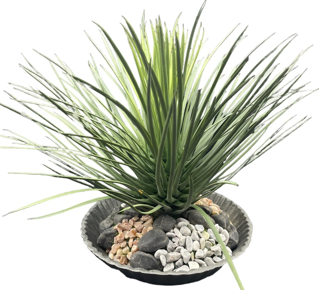 REALISTIC DESIGNER SPIKE PLANT (1 of 5)