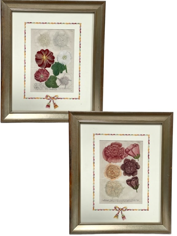 PAIR OF J. WEINMANN BOTANICAL MEZZOTINT PRINTS 25" (1 of 6)