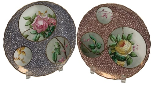 9 ANTIQUE MID 1800'S FLOWER COLLECTOR PLATES