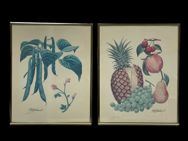 SIGNED GUY COHELEACH FRUIT & VEGETABLE PRINTS 13"