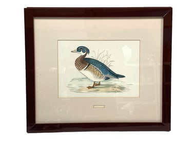 SUMMER DUCK  PRINT GRAFICHE TASSOTTI ITALY 21"