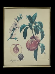 SIGNED GUY COHELEACH FRUIT AND VEGETABLE PRINT 13"