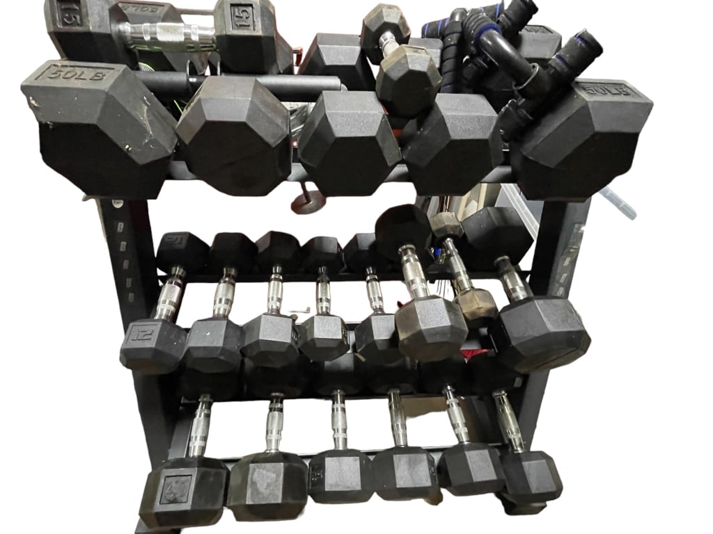 HOME GYM FREE WEIGHT DUMBELL SET (1 of 2)