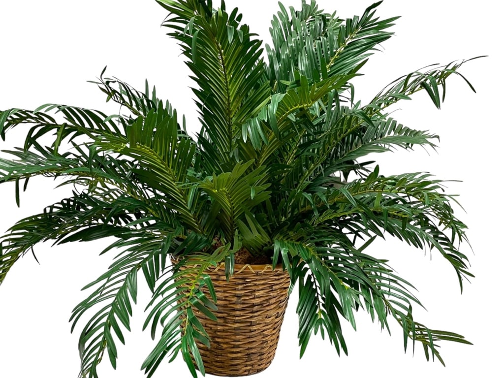 FAUX CYCUS PALM IN BASKET 33": FAUX CYCUS PALM IN BASKET -11" X 13" TO BASKET 33" OVERALL HEIGHT -VERY GOOD PRE OWNED CONDITION -DP71824 Bidders may pick up their items from the auction-house or have their items shipped. ***