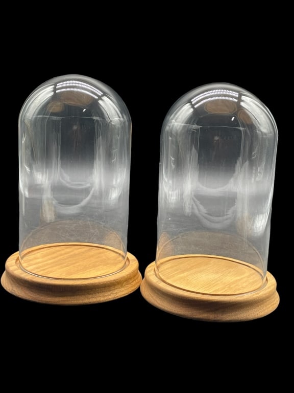 GLASS DISPLAY DOMES WITH WOOD BASE (2) (1 of 4)