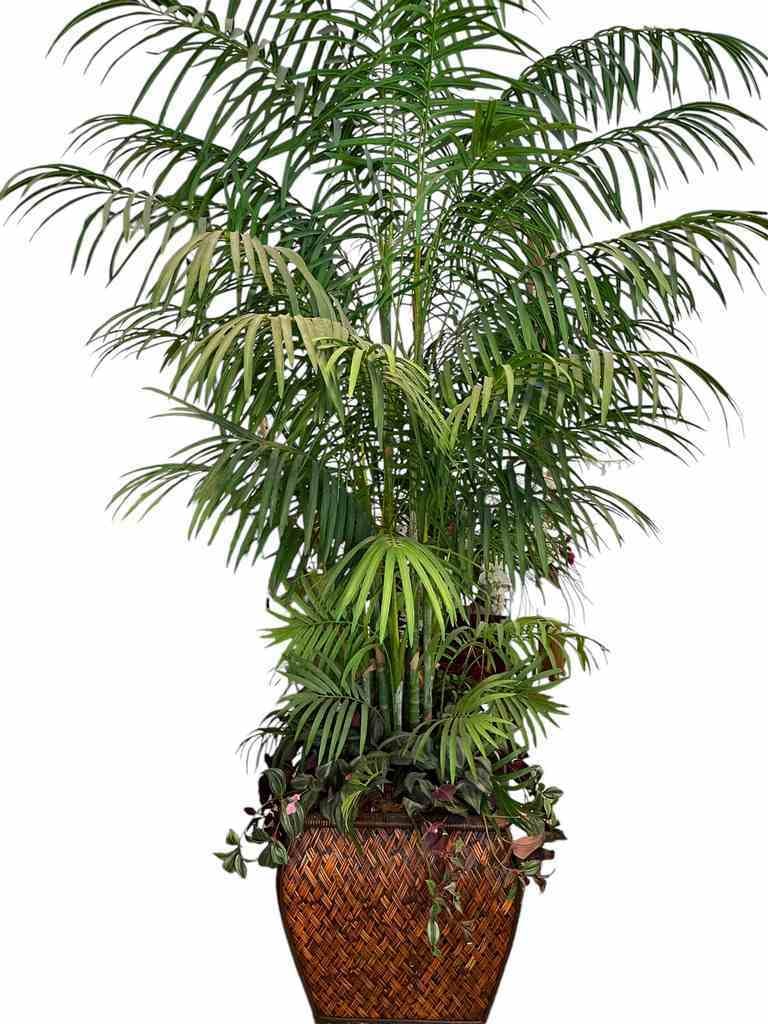 LARGE FAUX FERN IN WICKER RATTAN FLOOR VASE 7 FT (1 of 2)