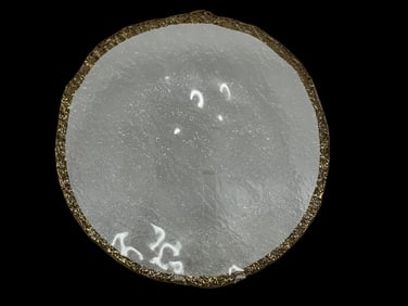 IVV GLACIER SERVING PLATE W GOLD TRIM 14"