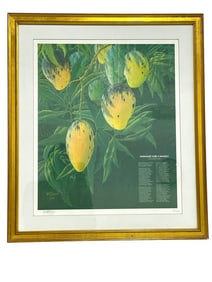 MAYAGUEZ SABE A MANGO PRINT BY WM BROWN