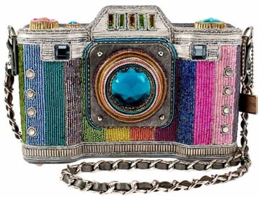 NEW MARY FRANCES LIFE IN COLOR CAMERA HANDBAG