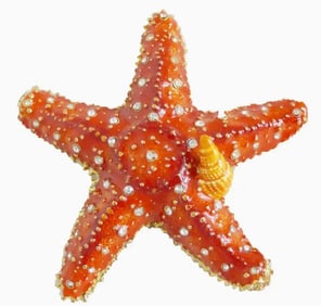 NIB SEA CREATIONS JEWELED STARFISH BOX 3.5"