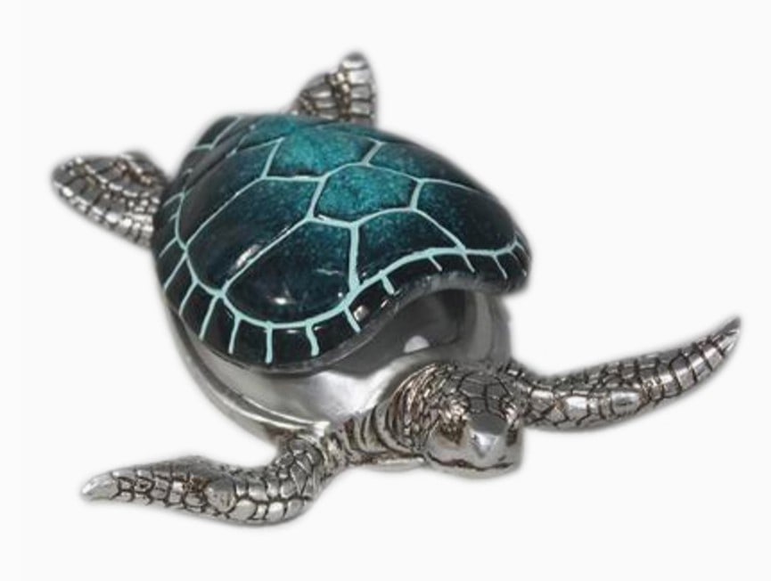 NEW! TURTLE BOX 5.5" (1 of 2)