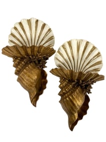 COASTAL REGENCY CLAM CONCH SHELL WALL SCONCES