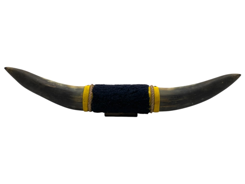MOUNTED STEER BULL HORNS 23" (1 of 4)