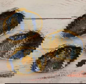 SERENITY SHELLS OWL EYES