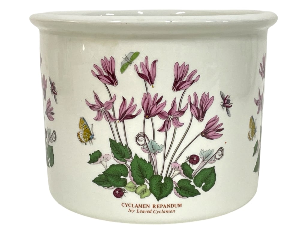 PORTMEIRION BOTANIC GARDEN CYCLAMEN PLANTER 7": PORTMEIRION BOTANIC GARDEN CYCLAMEN PLANTER 7" -VERY GOOD PRE OWNED CONDITION -APPROX 7" X 5.5" -JA 031425 By bidding on this item, you have read, understand and agree to the terms and conditions of t