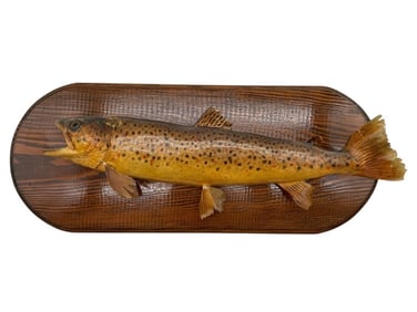 WALL-MOUNTED TAXIDERMY TROUT DISPLAY 18"