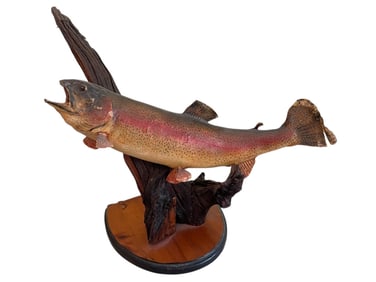 VINTAGE TAXIDERMY RAINBOW TROUT MOUNT 20"