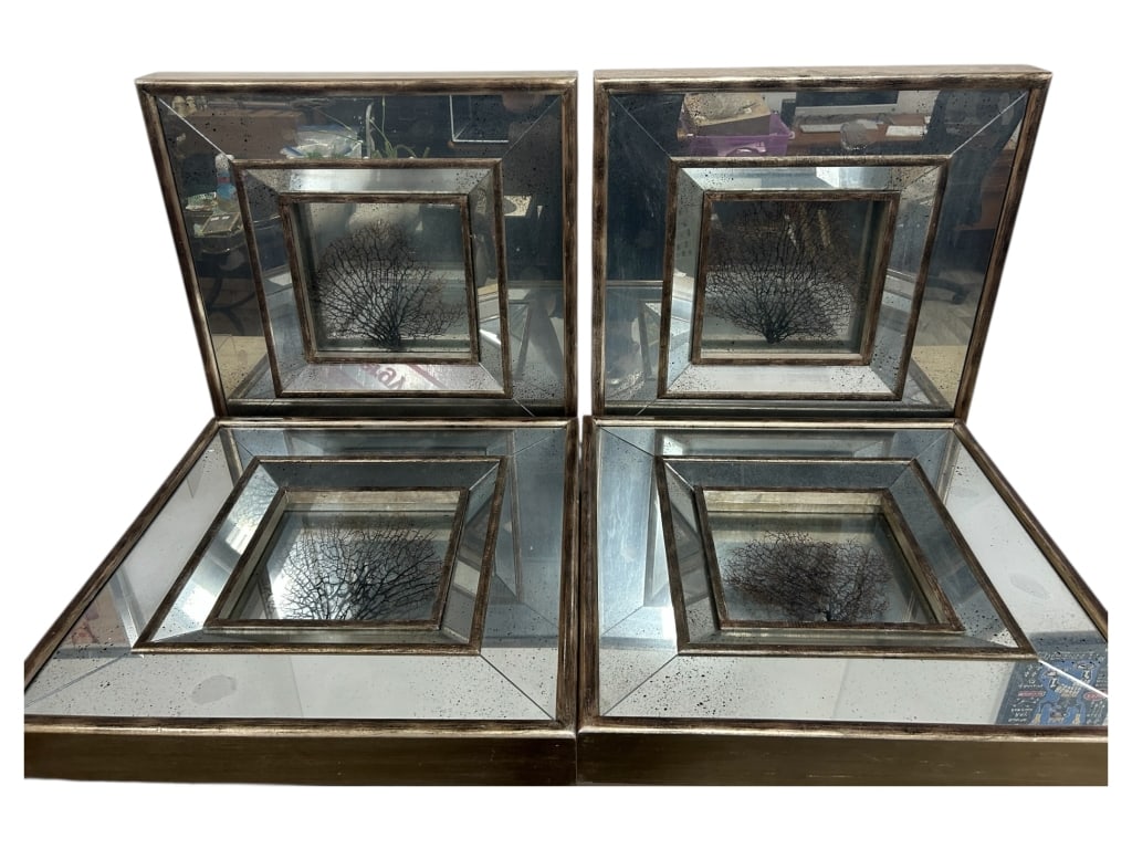 SHADOWBOXES WITH PRESSED SEA FAN CORAL 24" (1 of 5)