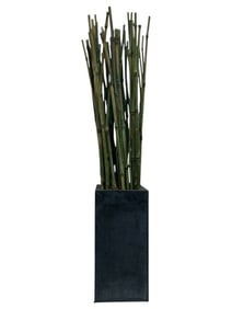 TALL MODERN FAUX BAMBOO ARRANGEMENT 52"