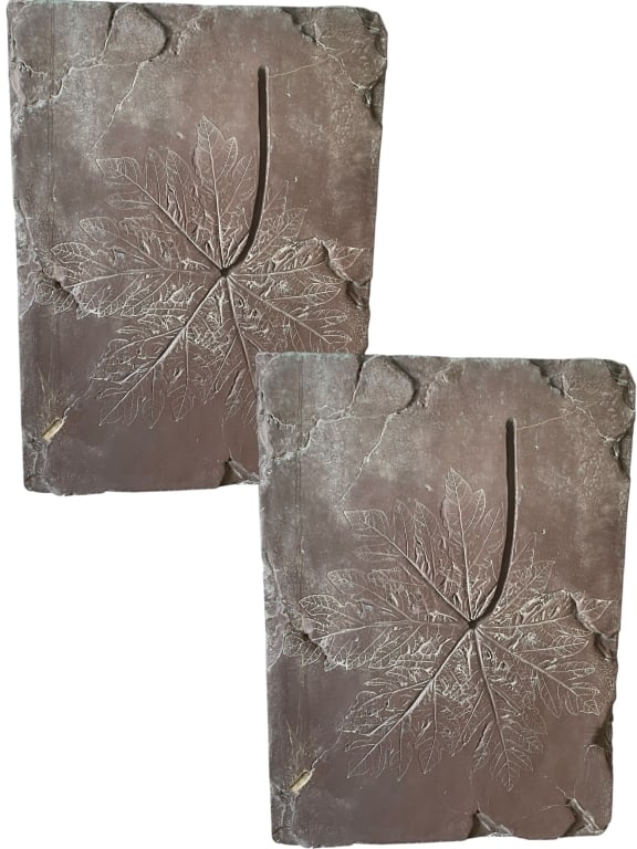 PAIR OF CAST COMPOSITE LEAF RELIEF WALL PLAQUES (1 of 4)