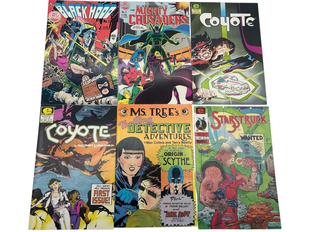 LOT OF 6 INDIE COMICS VINTAGE (1 of 9)