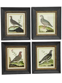 4 SOICHER-MARIN CUSTOM-FRAMED GAME BIRD PRINTS 17"